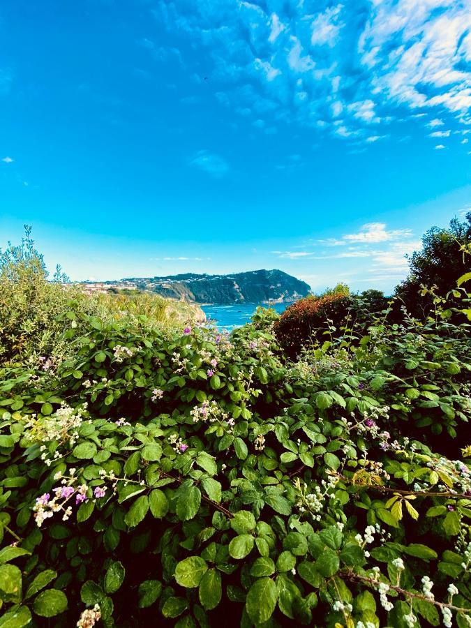 La Fortezza Forio (Isola d'Ischia) Exterior foto